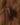 FNLonglocks premium color 6 dark blonde tape-in hair extensions, close-up swatch.